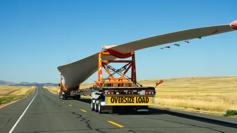 Oversized / Overweight  